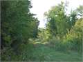 432 Acres &nbsp; Alexandria, Rapides Parish, Louisiana  $865,600
