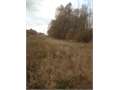27 Acres &nbsp; Collinston, Morehouse Parish, Louisiana  $89,000