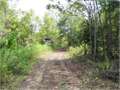 265 Acres &nbsp; Clayton, Catahoula Parish, Louisiana  $483,625