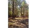 House in Summit, Pike County, Mississippi,   $76,000