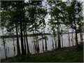 House in Woodville, Wilkinson County, Mississippi,   $28,500