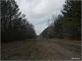 160 Acres &nbsp; Rison, Cleveland County, Arkansas  $280,000