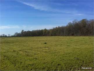 Rayville, Richland Parish, Louisiana Land For Sale - 128.17 Acres