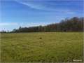 128.17 Acres &nbsp; Rayville, Richland Parish, Louisiana  $339,200