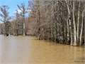 .5 Acres &nbsp; Mer Rouge, Morehouse Parish, Louisiana  $9,750