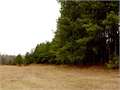 House in Summit, Pike County, Mississippi,   $257,495