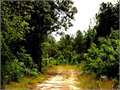 House in Monticello, Lawrence County, Mississippi,   $289,000