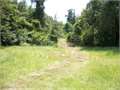 1317 Acres &nbsp; Bogalusa, St. Tammany Parish, Louisiana  $1,053,600