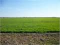 2089 Acres &nbsp; LAKE CORMORANT, DeSoto County, Mississippi  $20,890,000