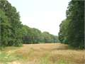  &nbsp; Rayville, Richland Parish, Louisiana  