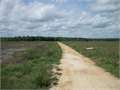 290 Acres &nbsp; Winnsboro, Franklin Parish, Louisiana  $590,000