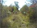 40 Acres &nbsp; Winnsboro, Franklin Parish, Louisiana  $48,000