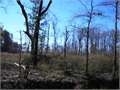1497 Acres &nbsp; Kinder, Allen Parish, Louisiana  $2,670,950