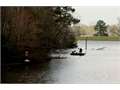 110 Acres &nbsp; Mize, Smith County, Mississippi  $610,000