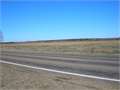 334 Acres &nbsp; Kinder, Allen Parish, Louisiana  $1,493,600