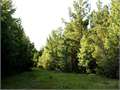 House in Magnolia, Pike County, Mississippi,   $285,000