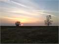 50 Acres &nbsp; Waxahachie, Ellis County, Texas  $179,700