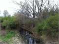 112 Acres &nbsp; Pioneer, West Carroll Parish, Louisiana  $202,000