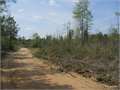 80 Acres &nbsp; Pine Bluff, Jefferson County, Arkansas  $88,000