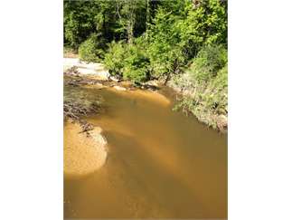 Wesson, Lincoln County, Mississippi Land For Sale - 370 Acres