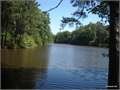 House in San Augustine, San Augustine County, Texas,   $63,500