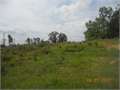 65 Acres &nbsp; Gloster, Wilkinson County, Mississippi  $201,500