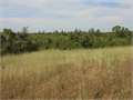 45 Acres &nbsp; Liberty, Amite County, Mississippi  $119,700