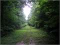 1210 Acres &nbsp; Kosciusko, Attala County, Mississippi  $2,994,750