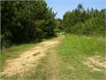 38.53 Acres &nbsp; Bogue Chitto, Lincoln County, Mississippi  $123,264