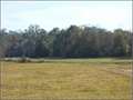 77 Acres &nbsp; Terry, Hinds County, Mississippi  $197,736