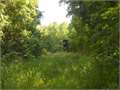 3138 Acres &nbsp; LORMAN, Jefferson County, Mississippi  $8,472,600