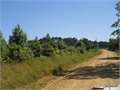 61.5 Acres &nbsp; Kingsland, Cleveland County, Arkansas  $95,000