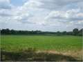 110 Acres &nbsp; Canton, Madison County, Mississippi  $869,000