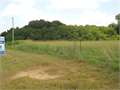171 Acres &nbsp; Canton, Madison County, Mississippi  $1,487,700
