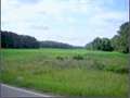 179 Acres &nbsp; Canton, Madison County, Mississippi  $1,750,125