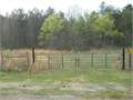 597 Acres &nbsp; Coldwater, Tate County, Mississippi  $1,011,915