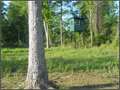 575 Acres &nbsp; McAdams, Attala County, Mississippi  $747,500