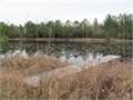 160 Acres &nbsp; Columbia, Marion County, Mississippi  $400,000