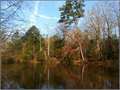 60 Acres &nbsp; Ackerman, Choctaw County, Mississippi  $218,000