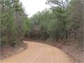 80 Acres &nbsp; Weir, Choctaw County, Mississippi  $126,000