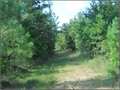 271 Acres &nbsp; Kilmichael, Montgomery County, Mississippi  $365,850