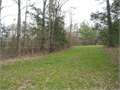 84 Acres &nbsp; Canton, Madison County, Mississippi  $247,800