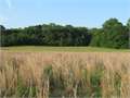 127.8 Acres &nbsp; Carrollton, Carroll County, Mississippi  $300,330
