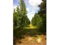 16.5 Acres &nbsp; Bienville, Bienville Parish, Louisiana  $29,700