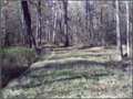 100 Acres &nbsp; Rolling Fork, Sharkey County, Mississippi  $195,000