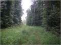 295 Acres &nbsp; Canton, Madison County, Mississippi  $693,250