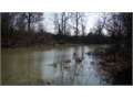 160 Acres &nbsp; Rolling Fork, Sharkey County, Mississippi  $376,000