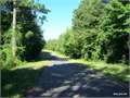 47.5 Acres &nbsp; Calhoun, Ouachita Parish, Louisiana  $166,250