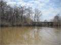 500 Acres &nbsp; Tallulah, Madison Parish, Louisiana  $300,000