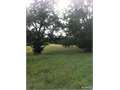 120 Acres &nbsp; Charleston, Tallahatchie County, Mississippi  $225,000